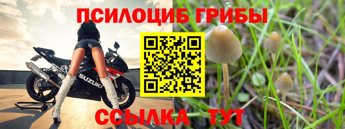 Галлюциногенные грибы Cubensis Минеральные Воды